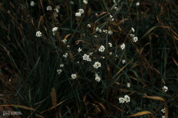 Фото 4